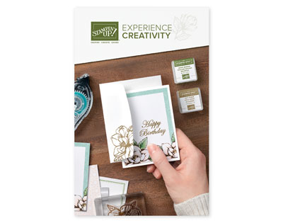 NEW! The Beginner Brochure