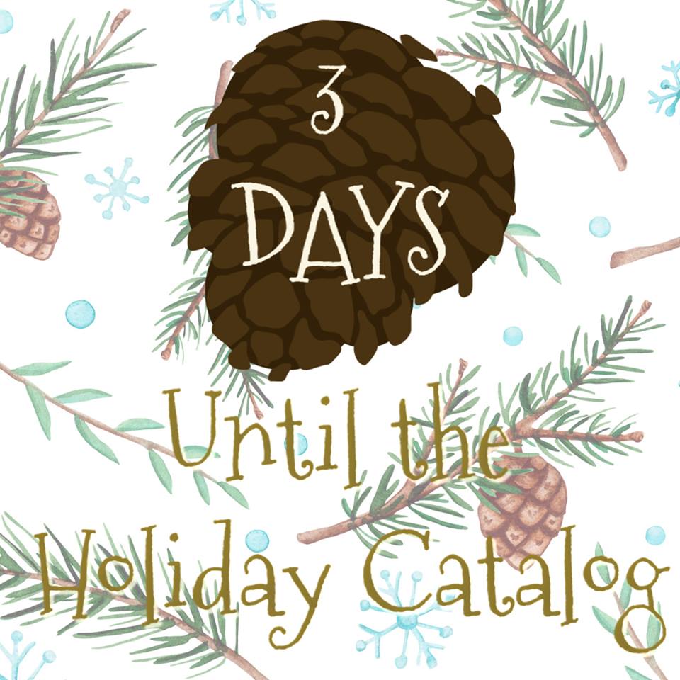 3 more days!