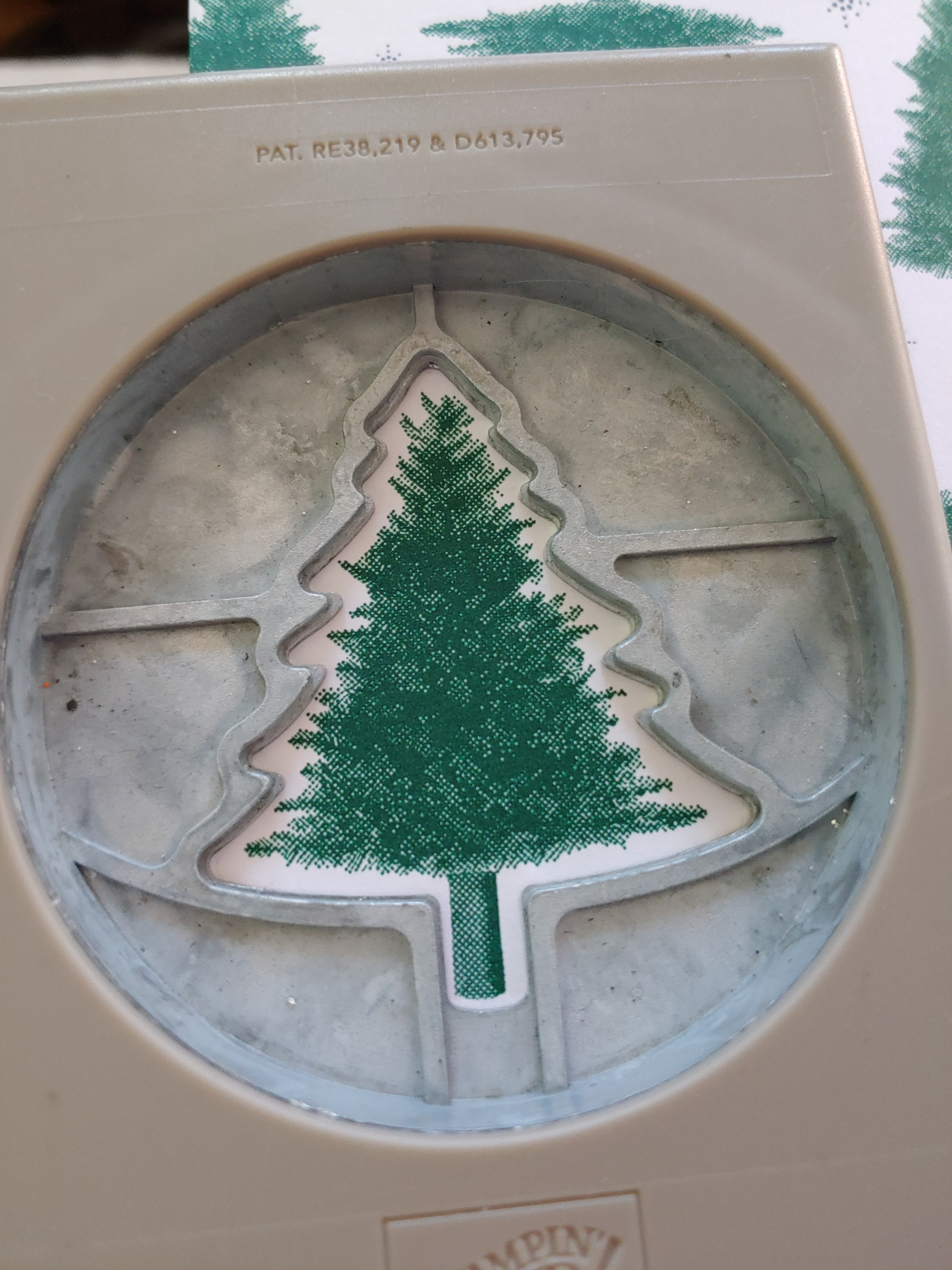 Pine Tree Punch with the Wrapped in Plaid DSP