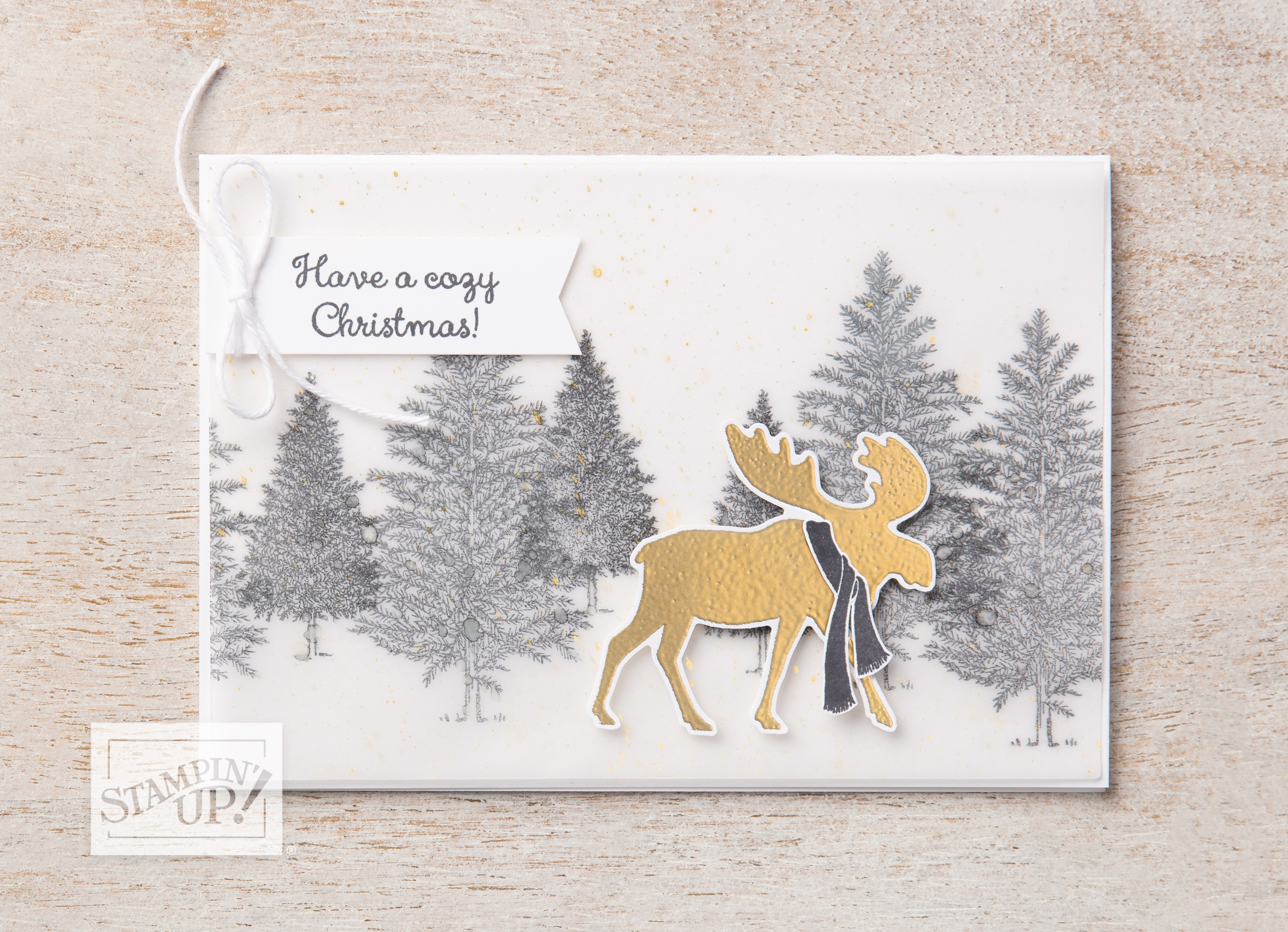 Merry Christmas from my family to yours!