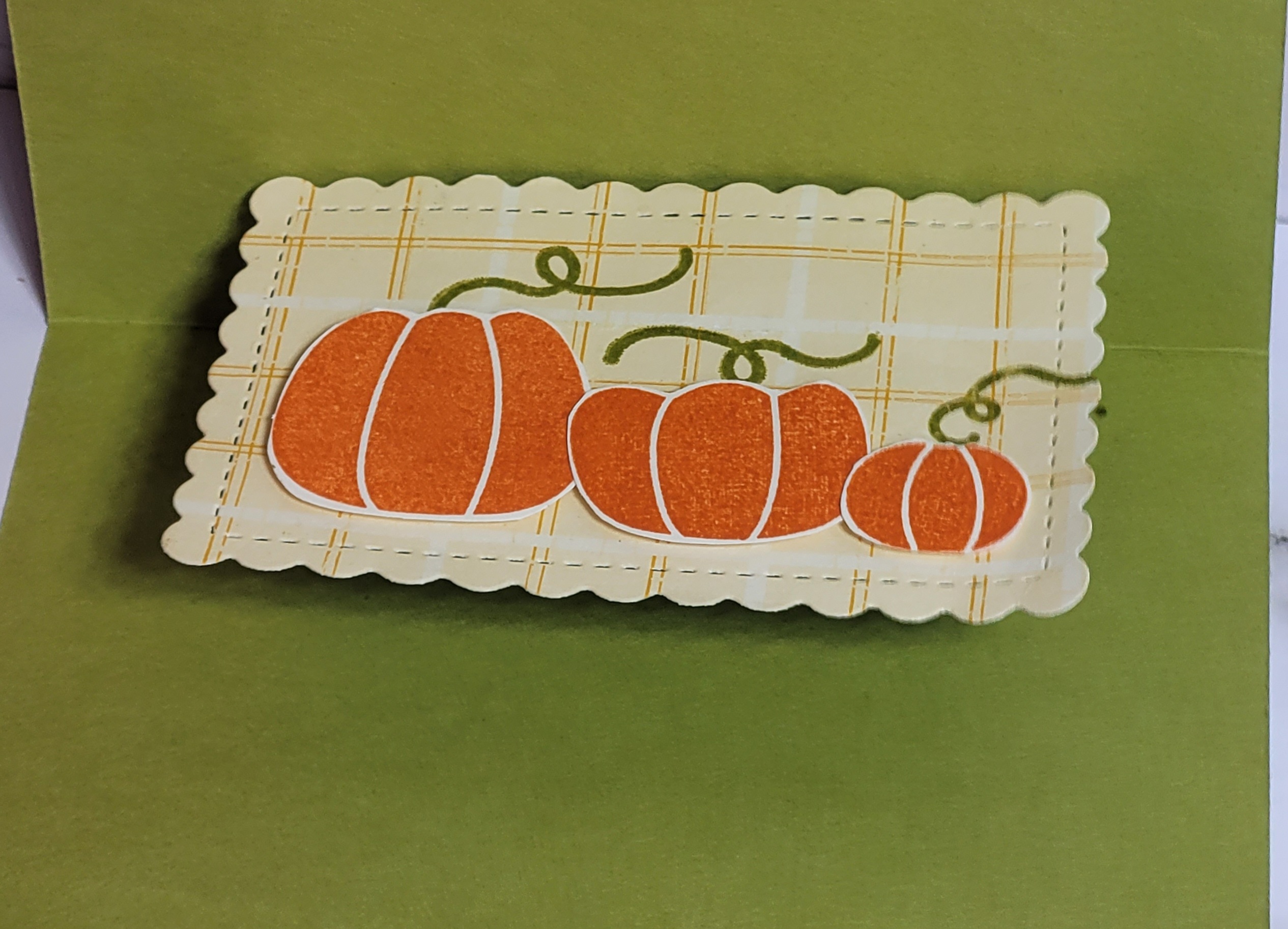 Scalloped Contours & pumpkins