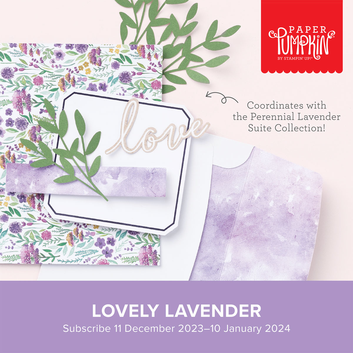 Paper Pumpkin Blog Hop-Lovely Lavender